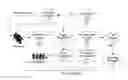 Fig. 01 - Simulating selective participation of multiple events from a pool of qualified participants