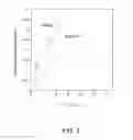 Fig. 06 - SYSTEMS AND METHODS FOR PREDICTING VITREAL HALF-LIFE OF THERAPEUTIC AGENT-POLYMER CONJUGATES