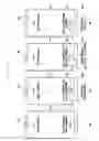 Fig. 17 - Electronic device and method for storing fingerprint information