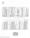 Fig. 11 - Digital communications monetization system