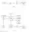 Fig. 02 - Consumer-centered risk analysis and insurance purchasing systems and methods