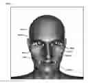 Fig. 01 - USING DYNAMIC FACIAL LANDMARKS FOR HEAD GAZE ESTIMATION