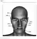 Fig. 01 - USING DYNAMIC FACIAL LANDMARKS FOR HEAD GAZE ESTIMATION