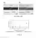 Fig. 04 - CERAMIC COATING FOR CORROSION RESISTANCE OF NUCLEAR FUEL CLADDING