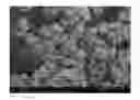 Fig. 01 - Seedless particles with carbon allotropes