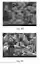 Fig. 08 - Seedless particles with carbon allotropes