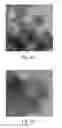 Fig. 09 - Seedless particles with carbon allotropes