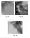 Fig. 14 - Seedless particles with carbon allotropes