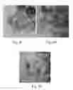 Fig. 17 - Seedless particles with carbon allotropes