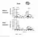 Fig. 63 - Methods for analyzing a tissue sample