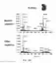 Fig. 64 - Methods for analyzing a tissue sample