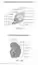 Fig. 85 - Methods for analyzing a tissue sample