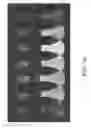 Fig. 04 - Materials, systems and methods for optoelectronic devices