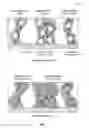 Fig. 02 - MIXED BINDERS