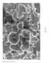Fig. 06 - Conductive carbon coated polymer for high temperature lithium ion battery shutdown deposited through 3D printing technique