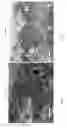 Fig. 14 - Conductive carbon coated polymer for high temperature lithium ion battery shutdown deposited through 3D printing technique