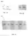 Fig. 02 - Block copolymer electrolytes containing polymeric additives