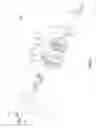 Fig. 03 - Coaxial frequency-separating connector