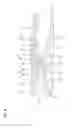 Fig. 10 - Terminal fitting
