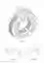 Fig. 10 - Stator assembly for a brushless motor in a power tool