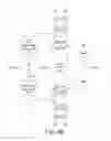 Fig. 07 - Driver circuit and operational amplifier circuit used therein