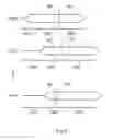 Fig. 06 - Recalibration of source synchronous systems