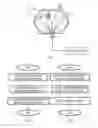 Fig. 02 - Discovery signal transmission in cellular system