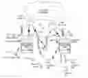 Fig. 01 - Cellular service improvement and extension by user equipment
