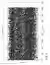 Fig. 06 - Enhanced digital diagnostics for optical PAM apparatus
