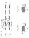 Fig. 09 - Optical transport system employing direct-detection self-coherent receivers and compatible transmitters