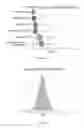 Fig. 05 - Identity and content authentication for phone calls