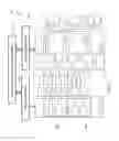 Fig. 06 - VIRTUALIZATION OF MULTIPLE DISTINCT WEBSITE HOSTING ARCHITECTURES