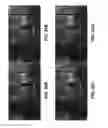 Fig. 40 - VIDEO PROCESSING AND ENCODING