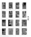 Fig. 48 - VIDEO PROCESSING AND ENCODING
