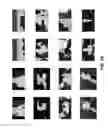 Fig. 53 - VIDEO PROCESSING AND ENCODING
