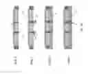 Fig. 02 - Segmented stretchable/conformable electronic and optoelectronic circuit on stretchable backplane
