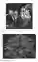 Fig. 02 - Hosta plant named 'Waterslide'