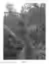 Fig. 03 - Hemp cultivar TM1