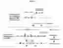 Fig. 02 - Genetically modified rat models for severe combined immunodeficiency (SCID)