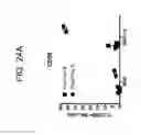 Fig. 52 - Genetically modified non-human animals and methods of use thereof