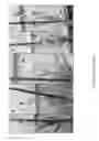 Fig. 02 - Antifungal compositions and methods of use