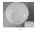 Fig. 02 - EMULSIFIED CHEESE PRODUCT