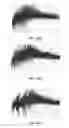Fig. 07 - L-cysteine-treated proteins with altered functionalities and preparations thereof