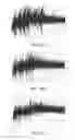 Fig. 09 - L-cysteine-treated proteins with altered functionalities and preparations thereof