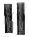 Fig. 03 - Banded papers, smoking articles and methods