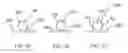 Fig. 20 - Banded papers, smoking articles and methods