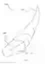 Fig. 02 - ARTIFICIAL EYELASHES HAVING A FLATTENED ROOT