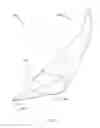 Fig. 06 - ARTIFICIAL EYELASHES HAVING A FLATTENED ROOT