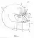 Fig. 02 - HELMET SYSTEM AND METHODS