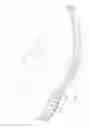 Fig. 02 - Shoe having multiple sole members